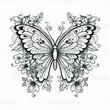Butterfly Coloring Pages A Colorful Journey For Kids And Adults sketch template
