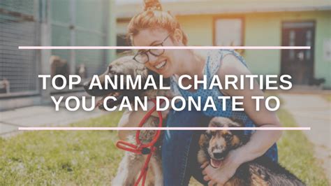 Top 17 Best Animal Charities You Can Donate To in 2022