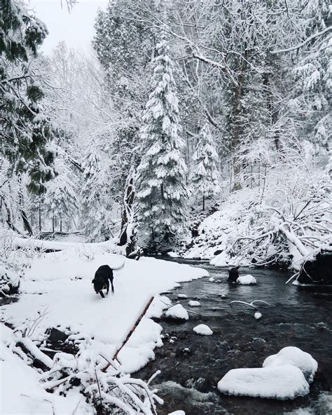 One Perfect Winter Day in Marquette, Michigan: A Local's Guide — Em's On The Road