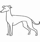 Greyhound Coloring Pages  Best For Kids Dog coloring sketch template