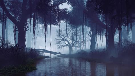 90+ Creepy Swamp At Dark Misty Night Stock Photos, Pictures & Royalty ...