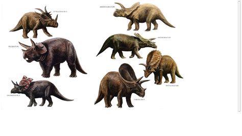 ceratopsida | Dinosaur pictures, Animals, Animal drawings