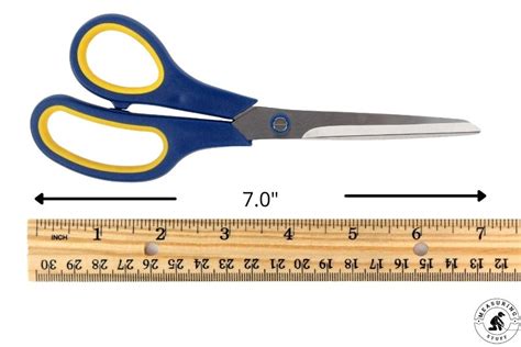 How Long Is 7 Inches Compared To An Object? - Measuring Stuff