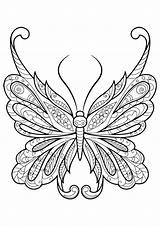 Butterfly coloring For Kids  Coloring Pages sketch template