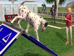 Best in Show - The Sims Wiki