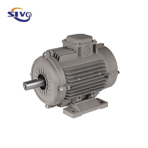 China Custom 220V AC Motor Manufacturers Suppliers Factory - Wholesale Service - SIVO