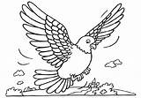 Free Printable Pigeon Coloring Pages For Kids sketch template