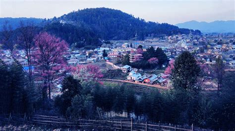 Ziro Valley Tourism: Sightseeing, How To Reach & Best Time To Visit