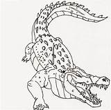 Crocodile Coloring Pages For Kids sketch template
