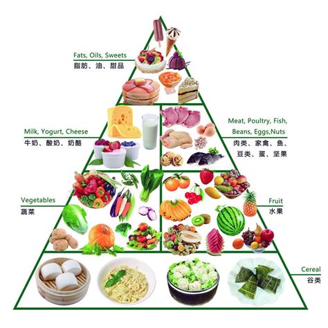 减脂的营养策略 - 知乎