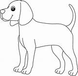 Coonhound Coloring Pages sketch template