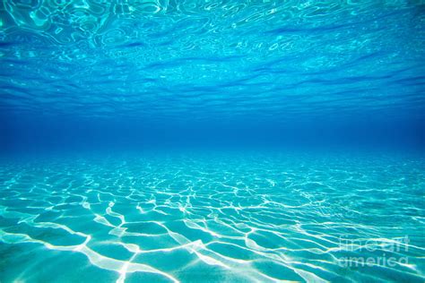 Plain Underwater Shot Photograph by M Swiet Productions