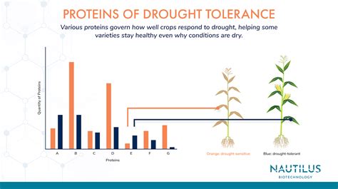 Applications of proteomics in agriculture - Plant stress tolerance ~ Nautilus Biotechnology