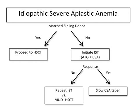 Aplastic Anemia Pathophysiology