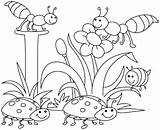 Coloring Pages Preschool Full Page sketch template