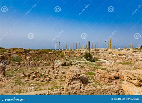 Romans Ruins Tyre Sur South Lebanon Stock Image - Image of asian ...