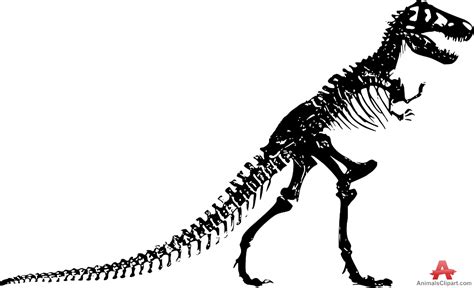 24+ Dinosaur skeleton clipart free in 2021