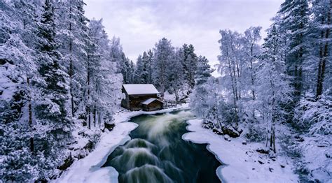 Best National Parks Lapland | Finland | WildLens by Abrar
