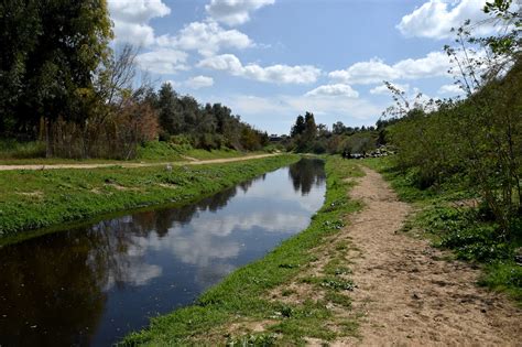 UN breathes life into once-polluted Gaza wetland | We For Gaza