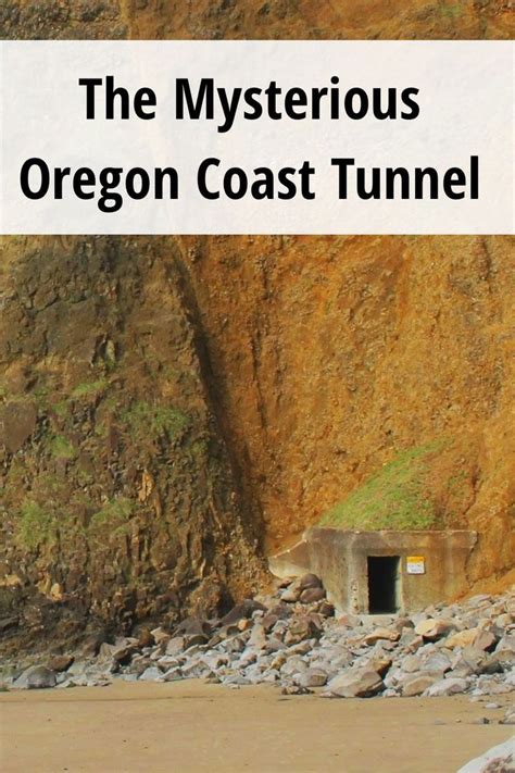 Tunnel to the secret beach | Oregon coast camping, Oregon vacation, Oregon road trip