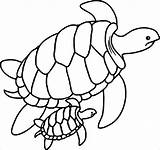 Turtle Coloring Pages  ColoringBay sketch template