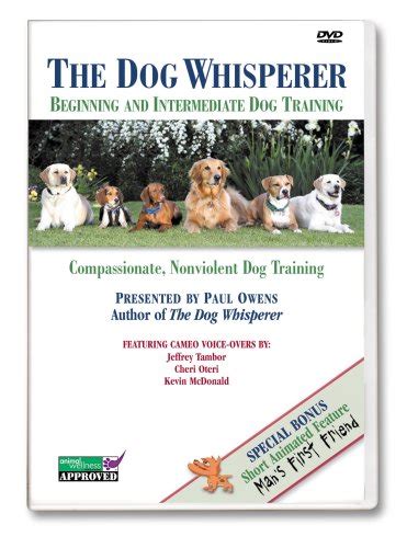 Dog Training - The Dog Whisperer: Beginning and Intermediate Dog Training