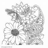 Pretty Coloring Pages For Adults sketch template