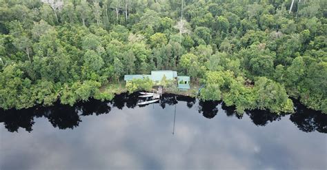 How guard posts play a crucial role in orangutan conservation — Orangutan Foundation