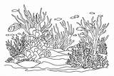 Ocean bottom coloring Page With Fish And Algae Sea Life Book  sketch template