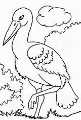 Storks Coloring Pages sketch template