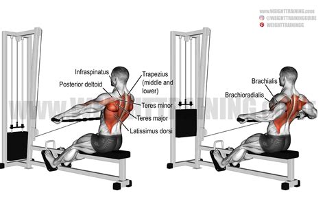 Close Grip T Bar Row