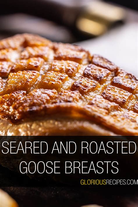 20 Best Goose Breast Recipes To Try