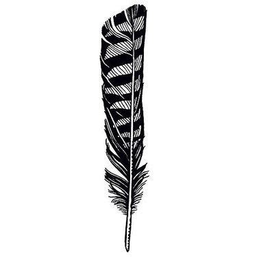 Hawk Feather Tattoo Design | Hawk feathers, Feather tattoo design, Hawk tattoo