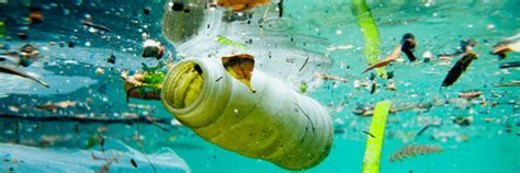 30 Ocean Pollution Facts, Stats, and Solutions | Rubicon