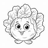 Cabbage Clipart Drawing Coloring Pages Vegetable Vegetables Kids Clip  sketch template