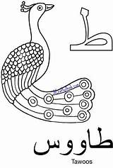 Arabic Coloring Page…Taa Is For Tawoos {Printable  Alphabet sketch template