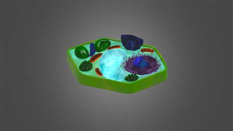 Plant Cell Organelles - Download Free 3D model by CVallance (@cvallance01) [e61e7bd] - Sketchfab