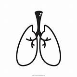 Lung Coloring Pages sketch template