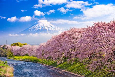 Góra Fuji, Japonia i rzeka na wiosnę. - puzzle online