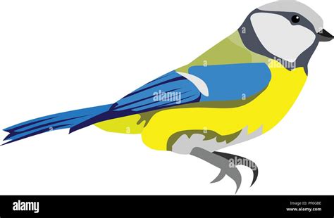 Blue Yellow Bird Animal Vector Stock Vector Image & Art - Alamy