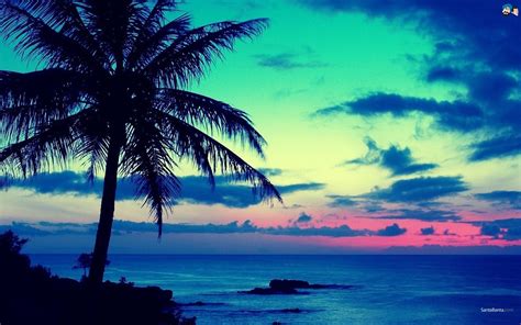 Wallpaper : sunset, sea, sky, beach, evening, coast, palm trees, horizon, dusk, Caribbean, tree ...