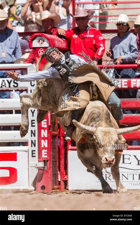 Cheyenne, Wyoming, USA. 26th July, 2015. Bull rider Jeff Bertus hangs on during the Bull Riding ...