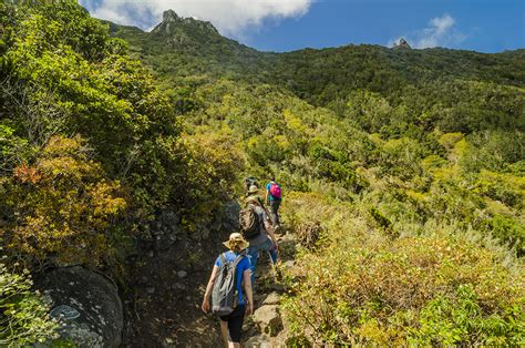 The best hiking trails in Tenerife: Tenerife Walking Festival 2018 – Tenerife! awakens emotions