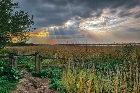 Footpath across the marsh | Hickling Broad Nature Reserve, N… | Flickr