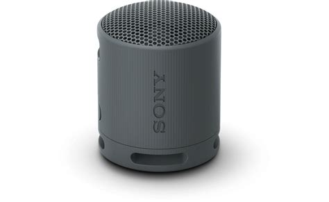 Sony XB100 Portable Wireless Speaker (Black) SRSXB100B | Retravision