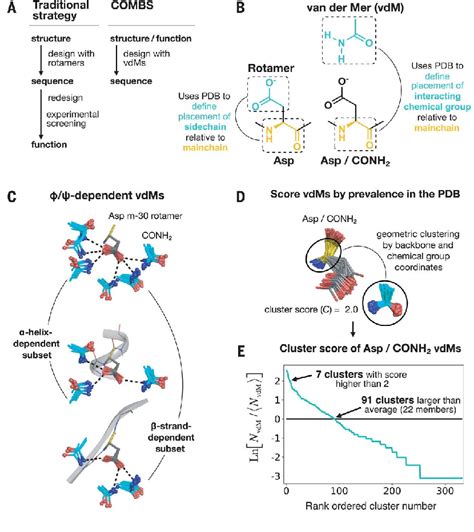 Figure 2 from Recent Progress Using De Novo Design to Study Protein ...