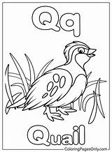 Cute Letter Q  Free Printable Coloring Pages sketch template