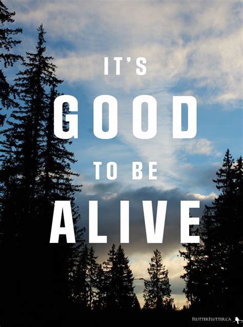 It's Good To Be Alive | FLUTTER FLUTTER | Alive quotes, Quotes that describe me, Jason gray