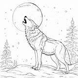 Simple wolf Outline In Forest coloring Page Lulu Pages sketch template