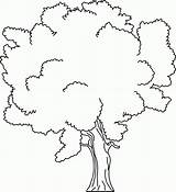 Coloring Pages Trees sketch template